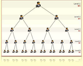 商务服务的综合平台 软件开发与供应链批发